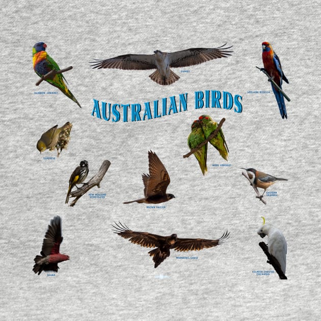 Australian native birds collection by seadogprints